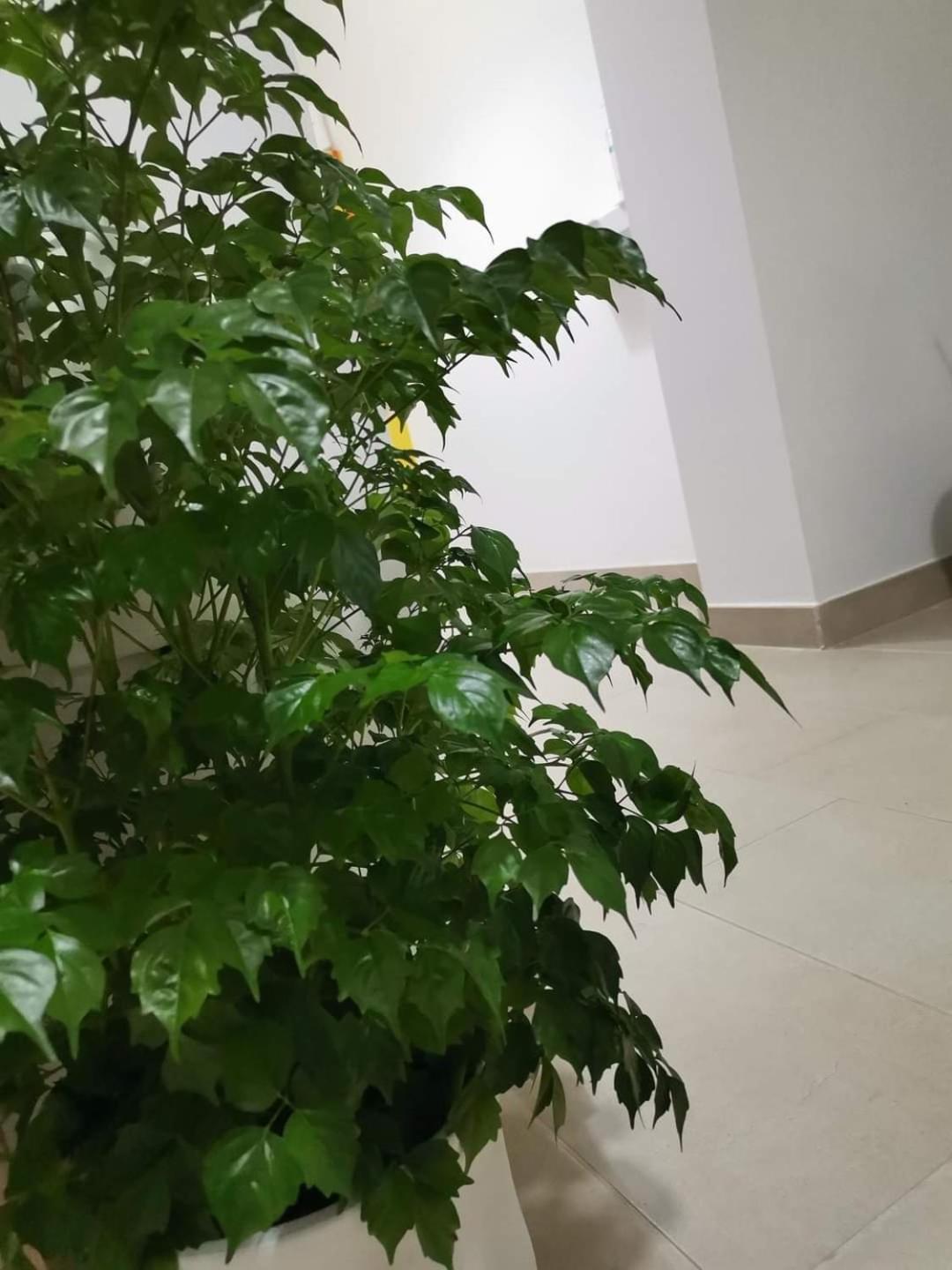 Montesarchiorooms Εξωτερικό φωτογραφία